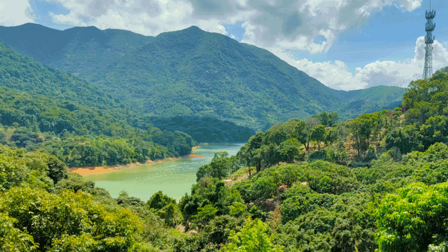 火災(zāi)動圖.gif